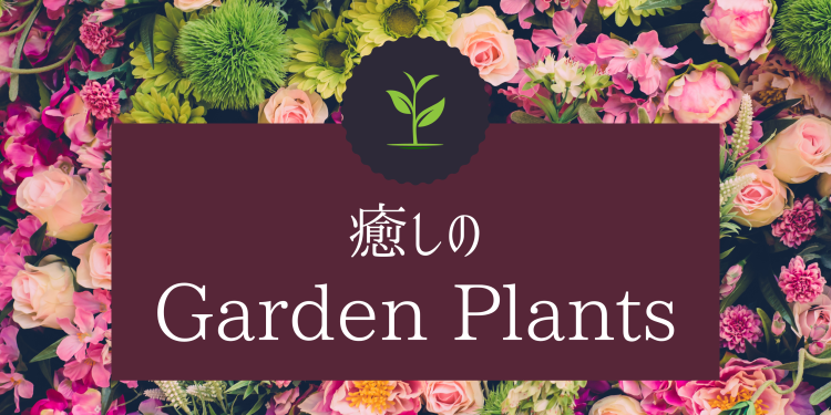 カワイイがいっぱい！ワンダーランド